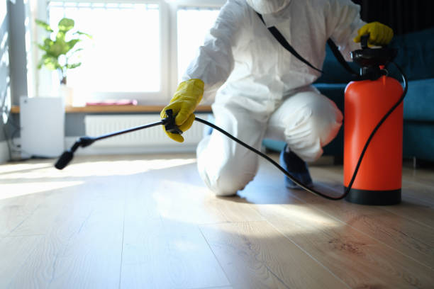 Trusted Fort Carson, CO Pest Control Experts